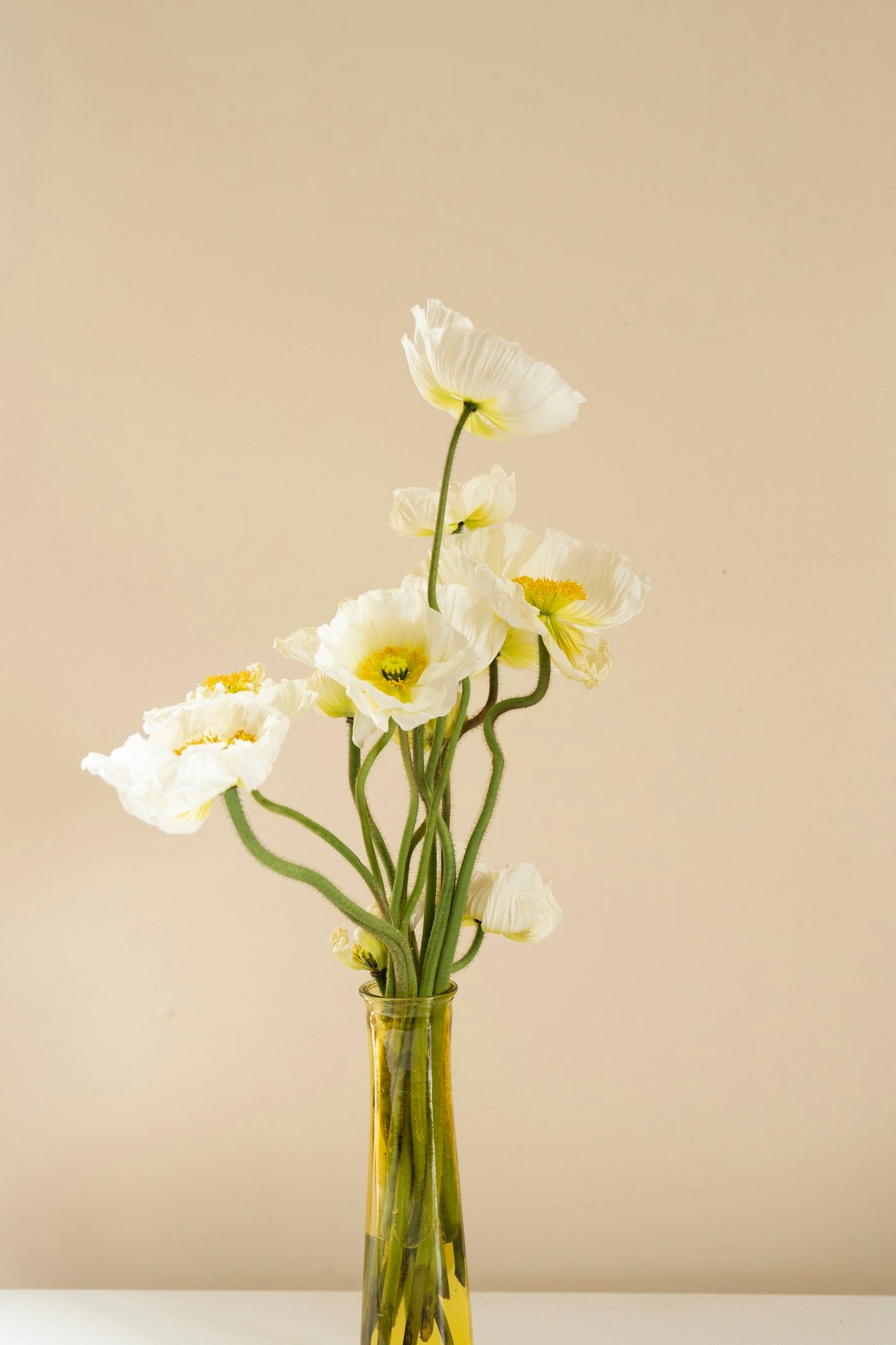 White narcissus in a clear vase