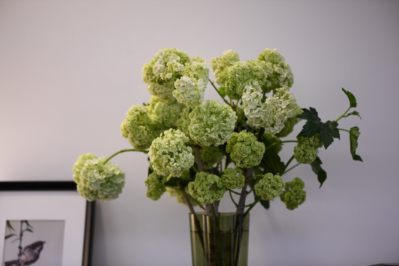 Green hydrangea bouquet